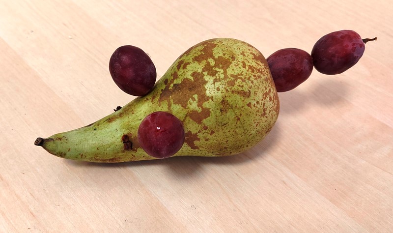 Myszka zrobiona z gruszki i winogronowych kulek